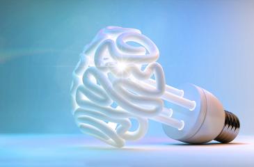 illustration of brain-shaped lightbulb