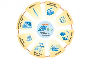 ATP-BIO graphic