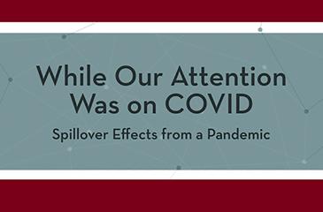 while our attention was on covid spillover effects from a pandemic