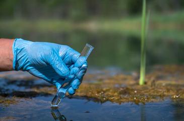 The hand of a working man in a glove holds a test tube with a water sample in close-up against the background of a natural landscape
