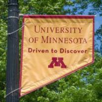 University of Minnesota Driven to Discover Flag
