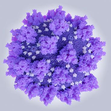 Illustration of coronavirus cell